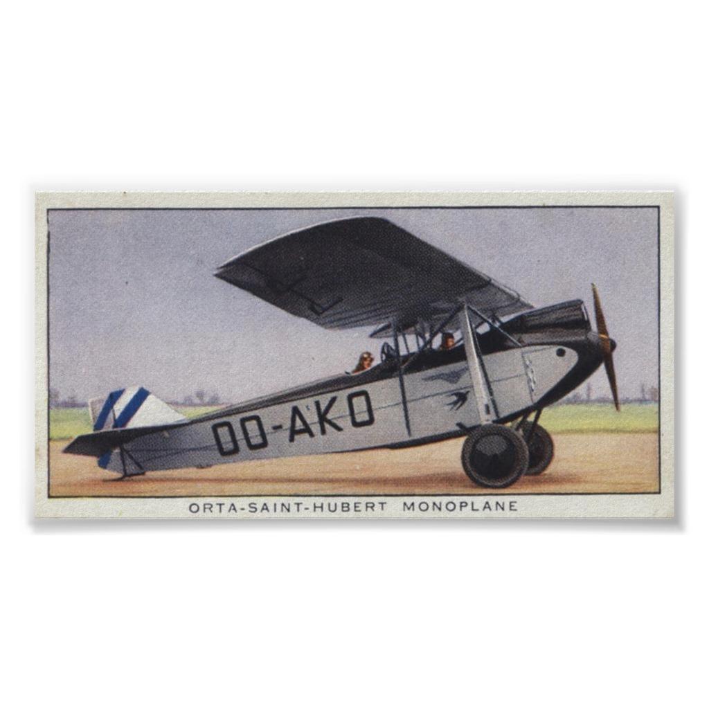 Foto monoplano de Huberto del santo del orta Poster