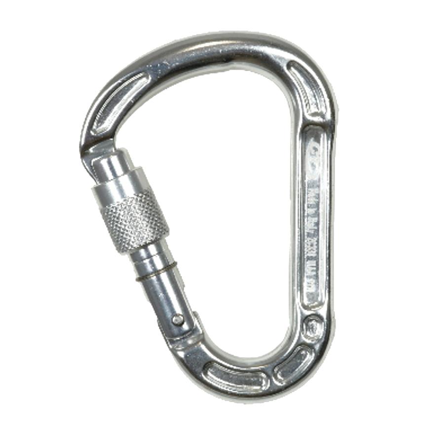 Foto Mosquetón Climbing Technology Concept SG silver gris