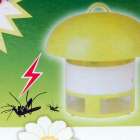 Foto Mosquitos hongos y bichos Lamp Killer