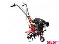 Foto Motoazada Omega Tiller 5
