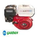 Foto Motor Migarden 4 Tiempos MT160