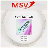 Foto MSV Focus Evo - 1.25mm (crystal) 12m pkt