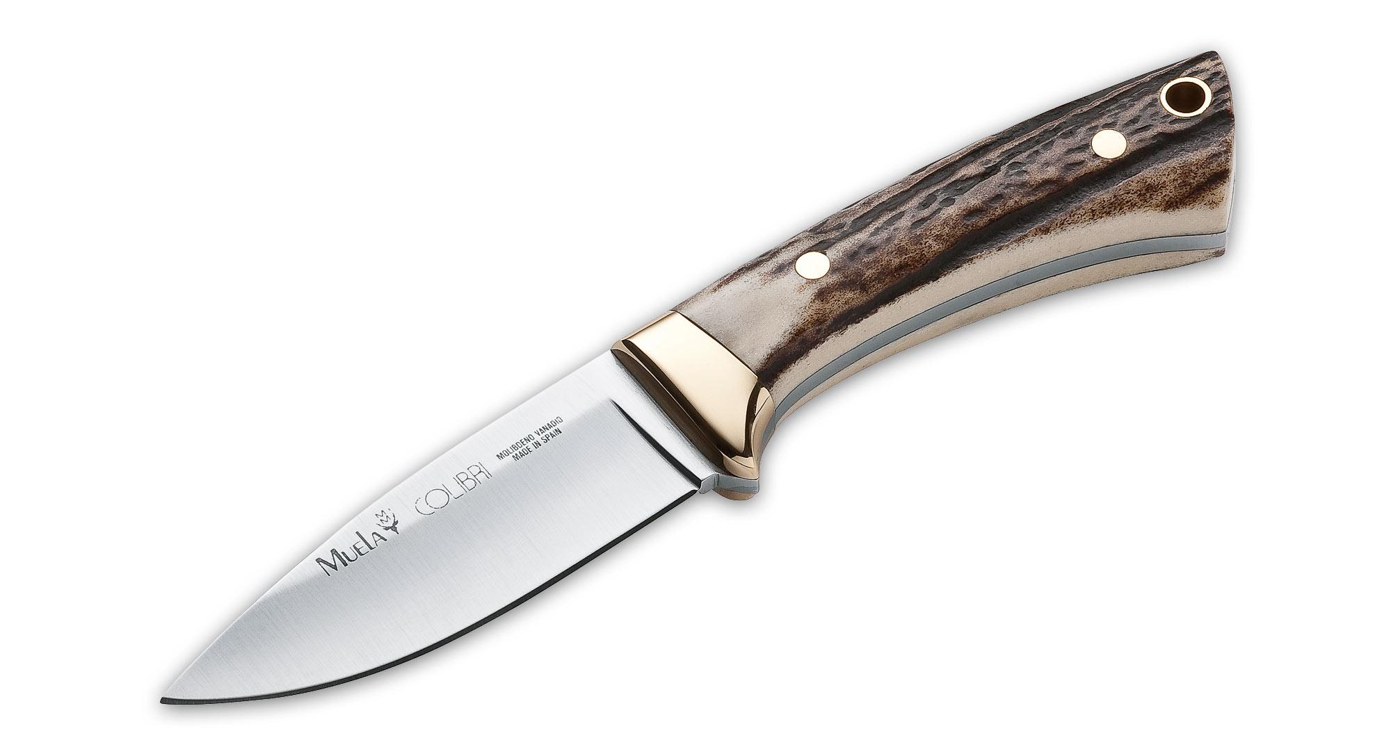 Foto Muela Colibri Stag (Modell 2012/13)