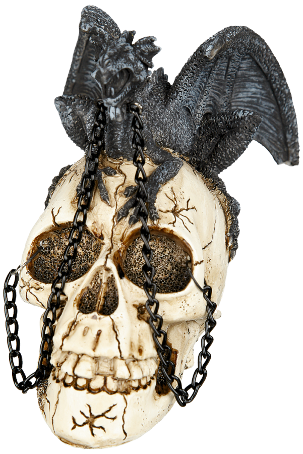 Foto Nemesis Now: Dragon familiar skull - Calavera decorativa, 12,5 x 12,5 x 12,5 cm