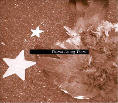 Foto Nick Grey: Thieves Among Thoms CD