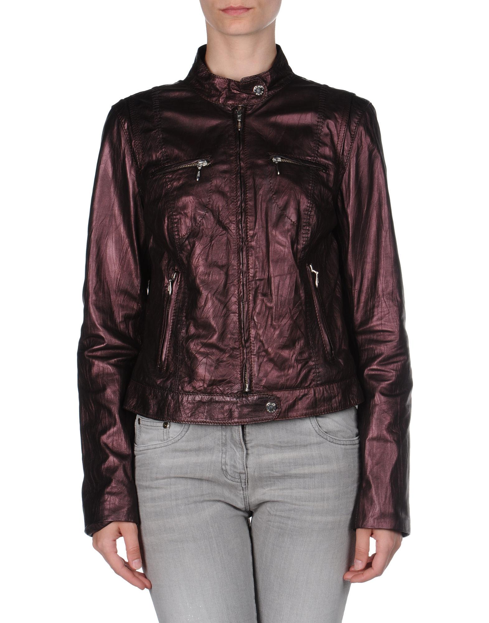 Foto Oakwood Chaquetas De Piel Mujer Morado oscuro