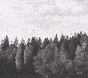 Foto October Falls: A Collapse Of Faith CD