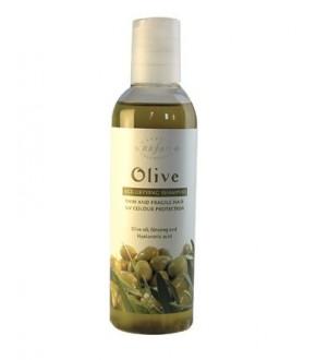 Foto Oliva - champú antivejecimiento 250ml