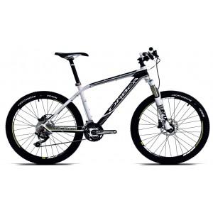 Foto Orbea alma h world replica champions