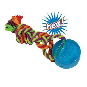 Foto Orka Dental Puck