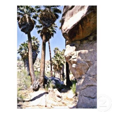 Foto Palmas de fan de California, oasis perdido de las Tarjetas...