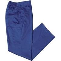 Foto Pantalón de trabajo color azul