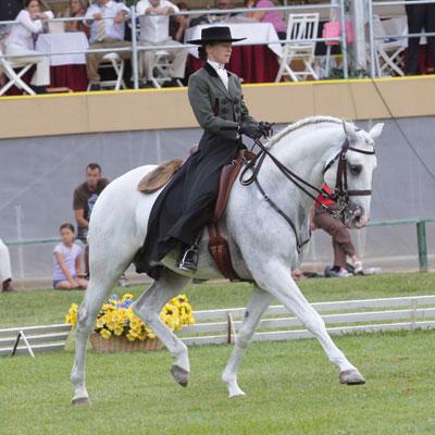 Foto Pantalon caballero negro