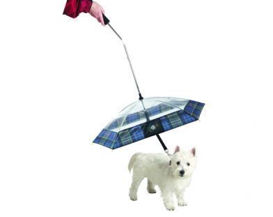 Foto Paraguas para perros