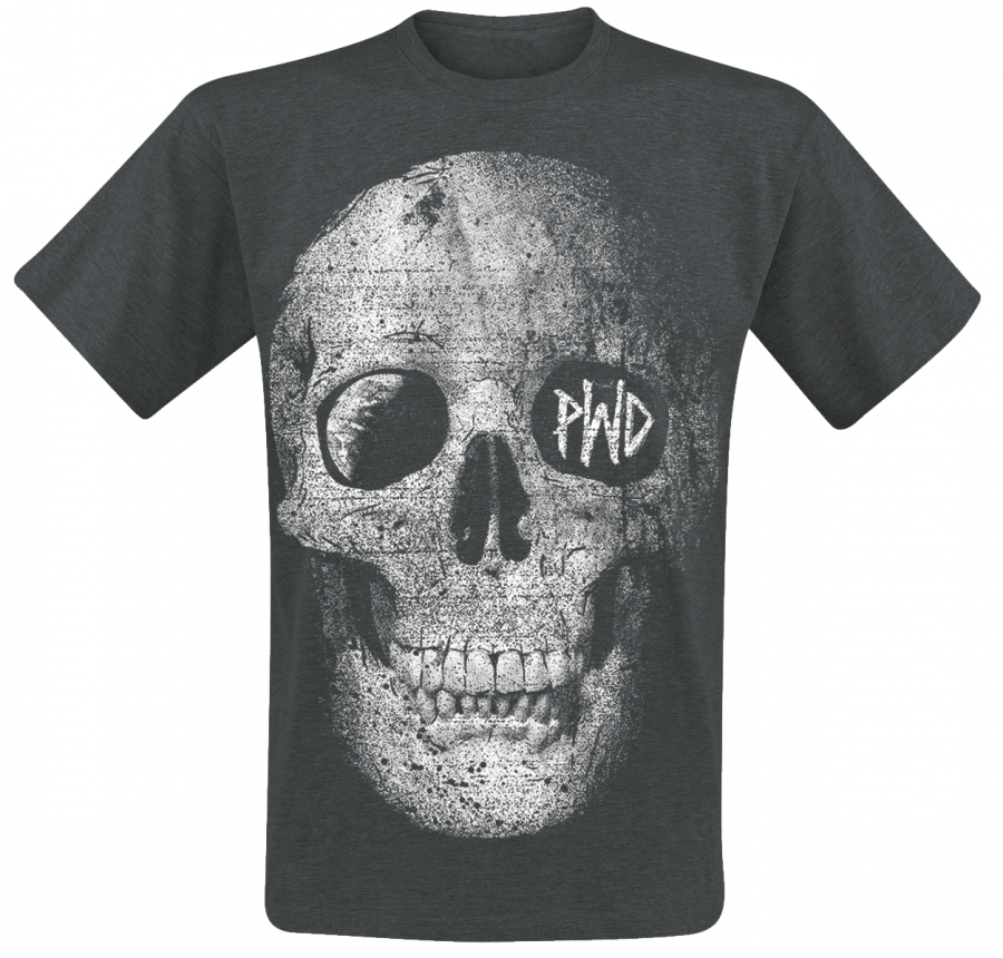 Foto Parkway Drive: Dark Days - Camiseta
