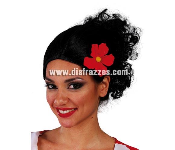 Foto Peluca Dama Española - Peluca Olivia de Popeye