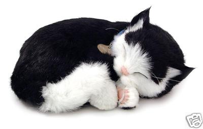 Foto Peluche Gato Black & White Shorthair  Que Respira,  Mascota Perfect Petzzz