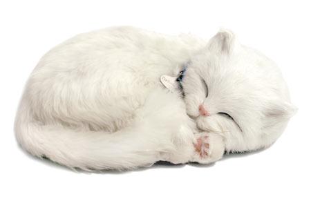 Foto Peluche Gato Blanco - Peluches Perfect Petzzz la mascota que respira