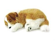 Foto Peluche perro Collie - Peluches Perfect Petzzz la mascota que respira