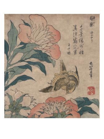 Foto Peony and Canary, circa 1825, Katsushika Hokusai - Laminas