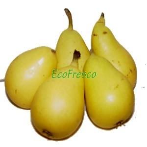 Foto Peras ercolina ecológicas 1 kg
