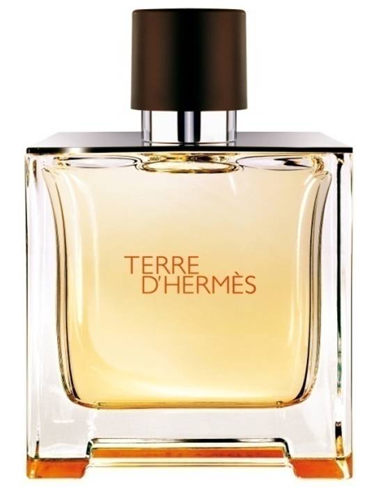 Foto Perfume Terre D'Hermes de Hermès para Hombre - Eau de Toilette 100ml
