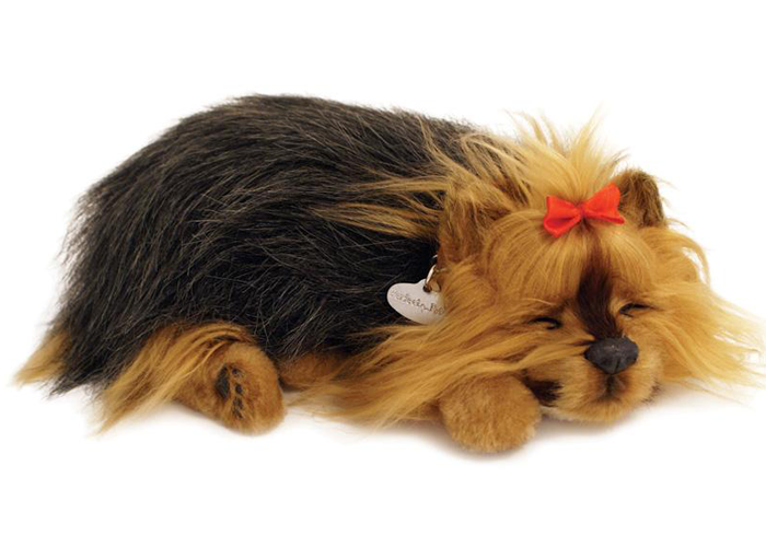 Foto Perro yorkshire terrier que respira. peluche perfect petzzz