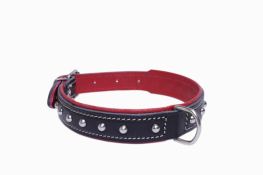 Foto Perros Collares Sandimas Collar -Ad.esf.(25X550)Roj/verd