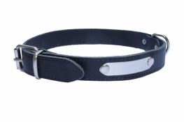 Foto Perros Collares Sandimas Collar-C/placa(35X650Mm) Verde