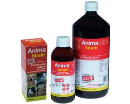 Foto Perros Complementos Y Suplementos Global Veterinaria Anima-Strath 1 L