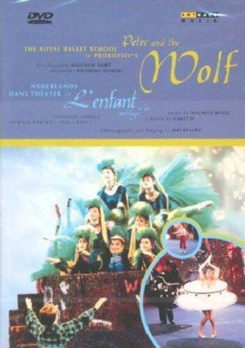 Foto Peter Und Der Wolf DVD