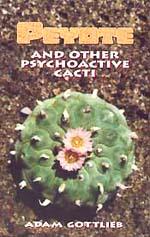 Foto Peyote and other psychoactive cacti