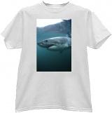 Foto Photo t-shirt of Gran tiburón blanco