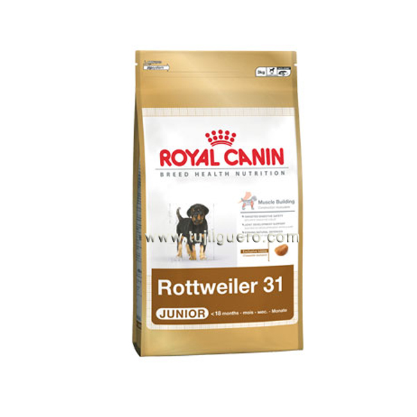 Foto Pienso Royal Canin Rottweiler Junior nº 31 para perros, 12 Kg