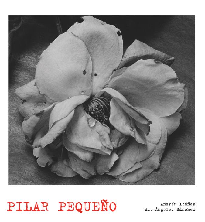 Foto Pilar Pequeño. Lunwerg Photo