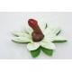 Foto Pin pene orquidea blanca