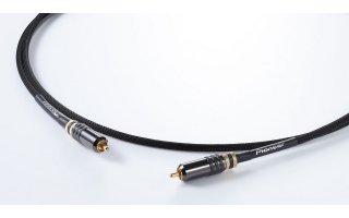 Foto Pioneer DAS-DGC020R