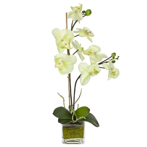 Foto Planta flores orquideas artificiales maceta cristal 50