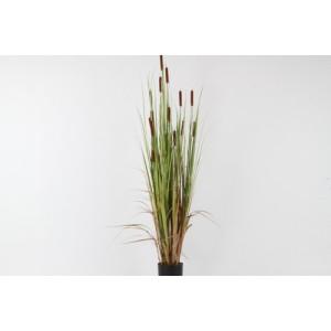 Foto Planta fluvial artificial enea h:180 cm.