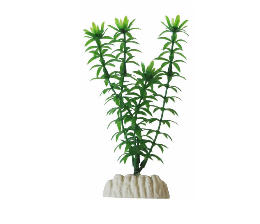 Foto Plantas Artificiales Wuapu Planta 25Cm Ap-012 Elodea
