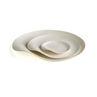 Foto Plato desechable diseño japones Maru