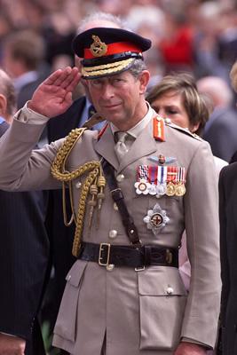 Foto Prince Charles - Protective Phone Sock - Art247