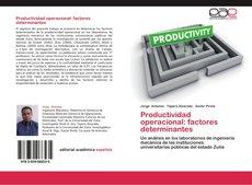 Foto Productividad operacional factores determinantes