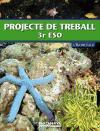 Foto Projecte De Treball. L ' Illa Del Coco 3 Eso