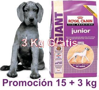 Foto Promoci?n Royal Canin Junior Giant