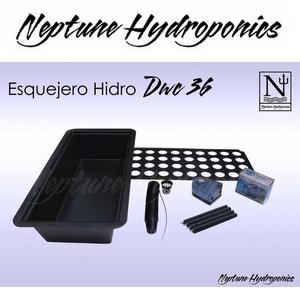 Foto Propagador Esquejero Neptune Hydroponics Hidro Dwc 36 (dwc36)