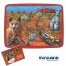 Foto Puzzle: habitat desierto austral