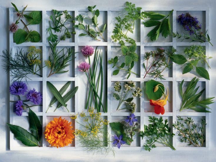 Foto Puzzle Ravensburger De 1500 Piezas Hierbas Y Especias
