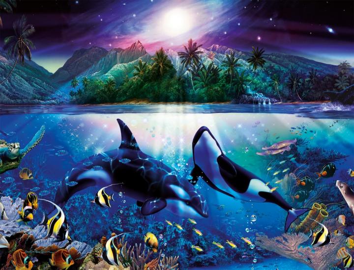 Foto Puzzle Ravensburger De 2000 Piezas Orcas