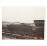 Foto Railway photo br class 52 western pathfinder bristol temple meads diesel loco